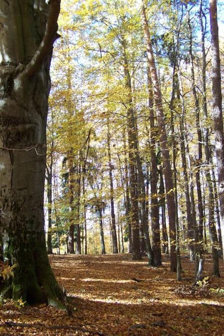 Stilvolles Landhaus Im Dreilaendereck Felsőszölnök Екстериор снимка