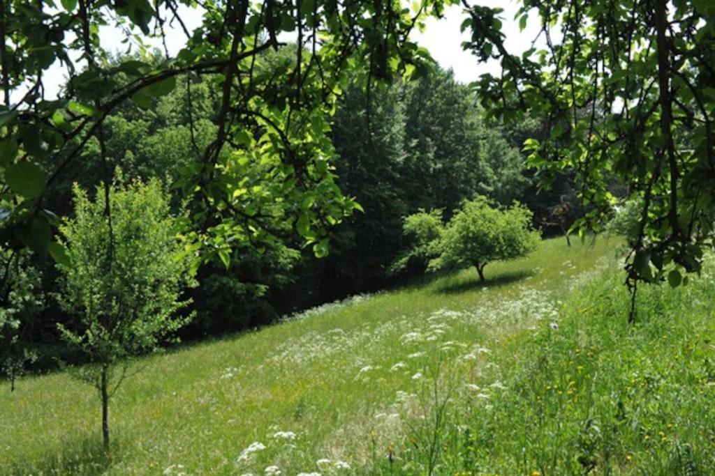 Stilvolles Landhaus Im Dreilaendereck Felsőszölnök Екстериор снимка